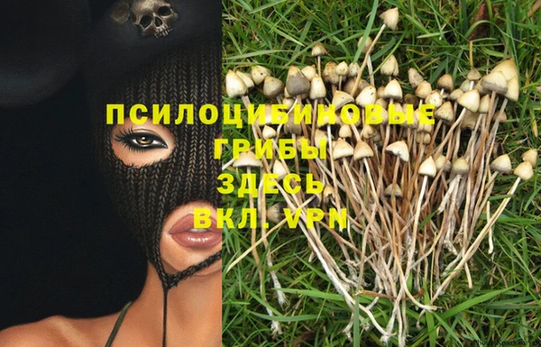 экстази Алексеевка