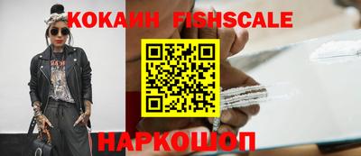 гашик Моздок