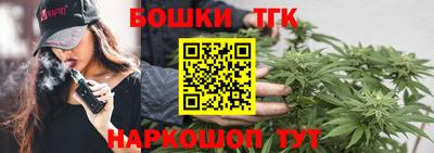 гашик Моздок
