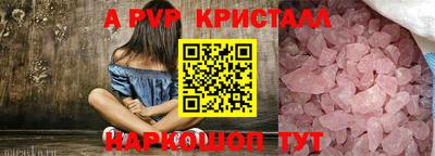 гашик Моздок