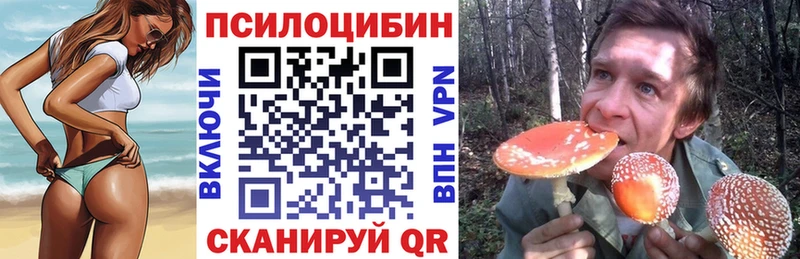 Псилоцибиновые грибы ЛСД  Гурьевск 