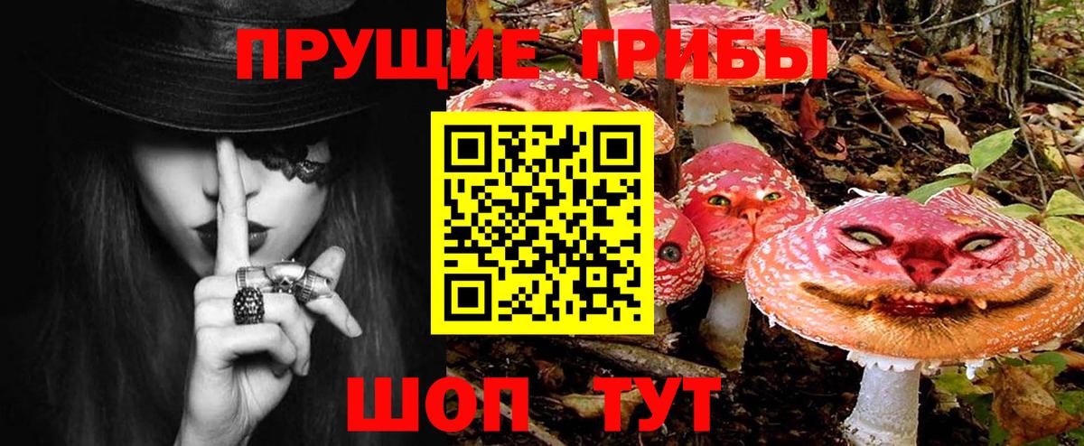 Галлюциногенные грибы Psilocybe  Псилоцибиновые грибы Psilocybine cubensis  Вход с VPN  Гурьевск 